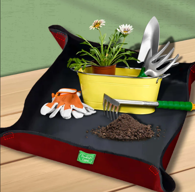 Indoor Zen Garden mat