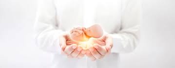 Fertility Service Market